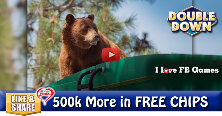 bear-truck-2