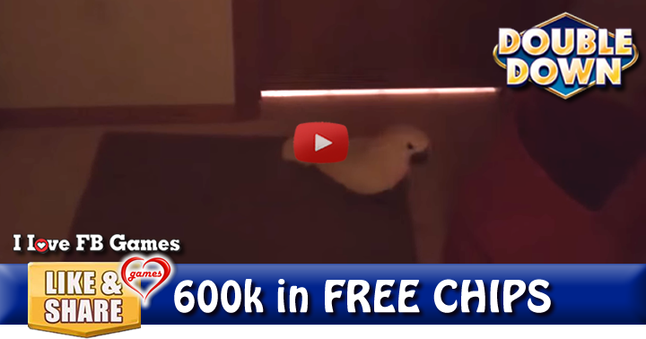 cockatoo-bathroom-3