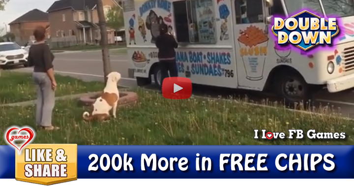 dog-ice-cream-truck-2