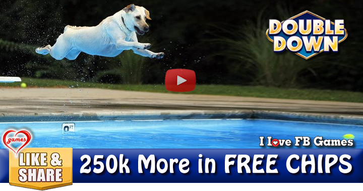 doggy-dip-2