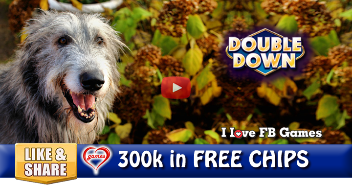 dogs-short-lives-2