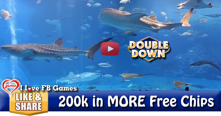 japan-aquarium-2