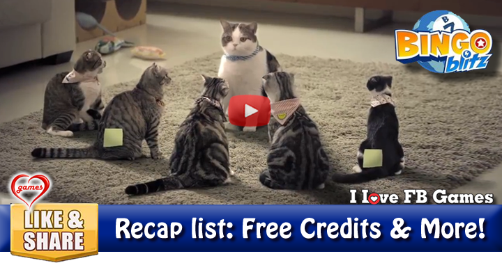 kitty-conference-2