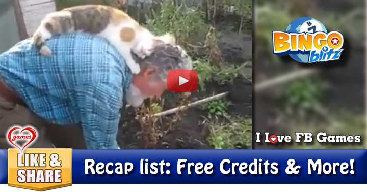 kitty-loves-pawpaw-2