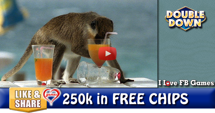 monkey-drinks-2