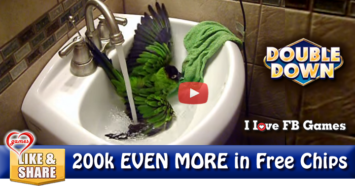 parrot-sink-bath-2