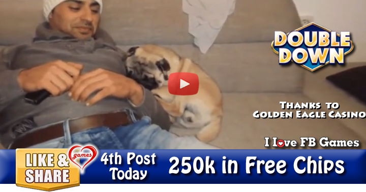 pug-love-2