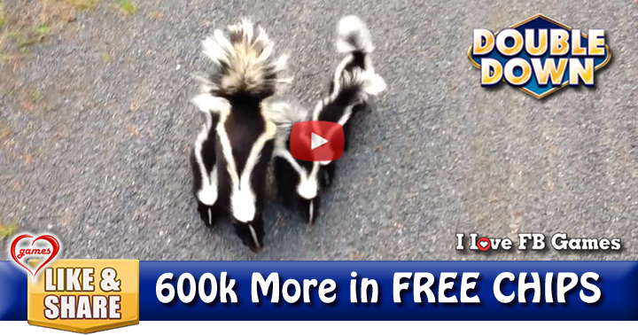 skunk-family-2