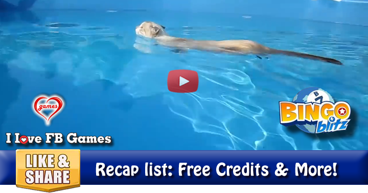 swimming-kitty-2